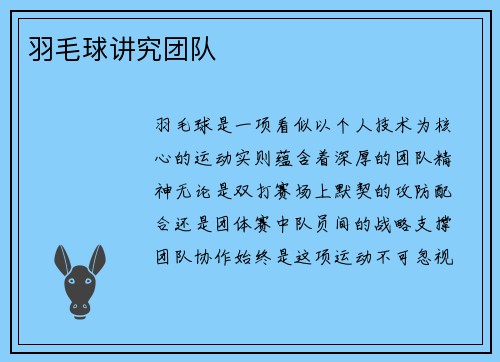 羽毛球讲究团队